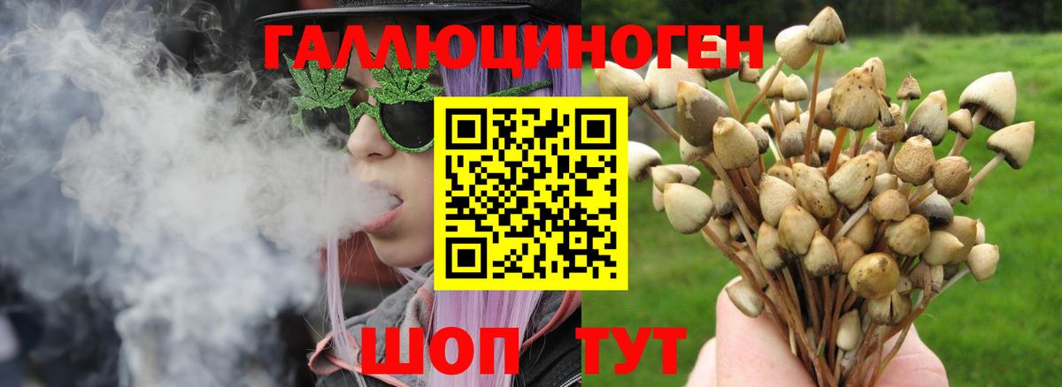 закладки  Псилоцибиновые грибы мухоморы  Вход с VPN  Галлюциногенные грибы Psilocybine cubensis  Орехово-Зуево 